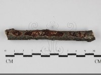 登錄號:F0032221藏品圖，第1張