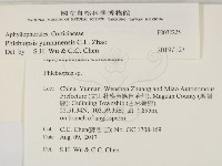 登錄號:F0032225藏品圖，第2張