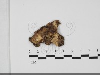 登錄號:F0032225藏品圖，第1張