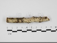 登錄號:F0032227藏品圖，第1張