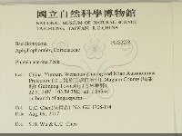 登錄號:F0032228藏品圖，第2張