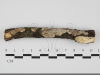 登錄號:F0032228藏品圖，第1張