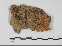 登錄號:F0032230藏品圖，第1張