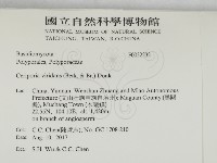 登錄號:F0032232藏品圖，第2張