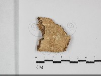 登錄號:F0032234藏品圖，第1張