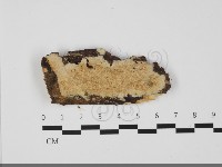 登錄號:F0032235藏品圖，第1張