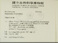 寡孔菌屬藏品圖，第2張
