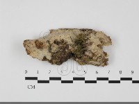 登錄號:F0032237藏品圖，第1張