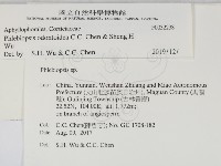 登錄號:F0032238藏品圖，第2張