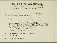 登錄號:F0032239藏品圖，第2張