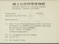 顯絲菌屬藏品圖，第2張