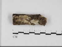 登錄號:F0032242藏品圖，第1張