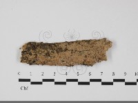 登錄號:F0032244藏品圖，第1張