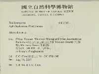 盤革菌屬藏品圖，第2張