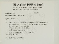 絲齒菌屬藏品圖，第2張