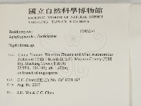 絲齒菌屬藏品圖，第2張