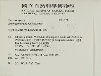 登錄號:F0032248藏品圖，第2張