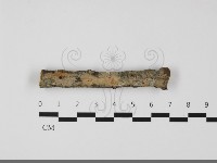 登錄號:F0032248藏品圖，第1張