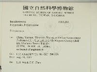 多孔菌屬藏品圖，第2張