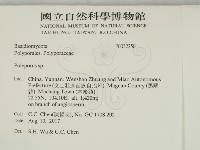 多孔菌屬藏品圖，第2張