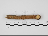 登錄號:F0032251藏品圖，第1張
