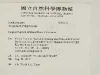 登錄號:F0032254藏品圖，第2張