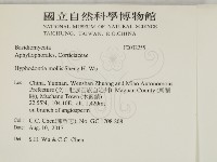 登錄號:F0032255藏品圖，第2張