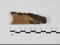 登錄號:F0032255藏品圖，第1張