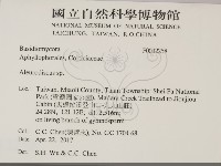 盤革菌屬藏品圖，第2張