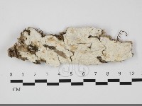 登錄號:F0032259藏品圖，第1張