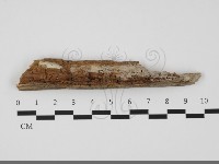 登錄號:F0032260藏品圖，第1張
