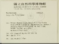 登錄號:F0032261藏品圖，第2張