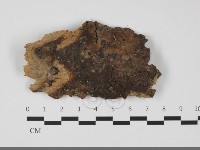 登錄號:F0032262藏品圖，第1張