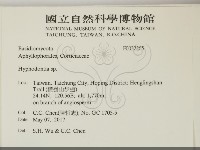 絲齒菌屬藏品圖，第2張