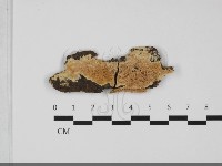 登錄號:F0032266藏品圖，第1張