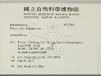 登錄號:F0032268藏品圖，第2張