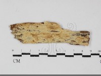 登錄號:F0032268藏品圖，第1張