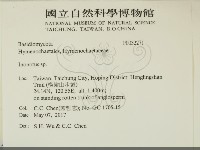 纖孔菌屬藏品圖，第2張