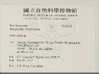 登錄號:F0032272藏品圖，第2張