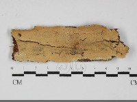 登錄號:F0032272藏品圖，第1張