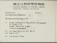 登錄號:F0032273藏品圖，第2張
