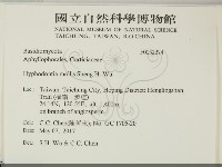 登錄號:F0032274藏品圖，第2張
