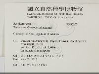 登錄號:F0032275藏品圖，第2張