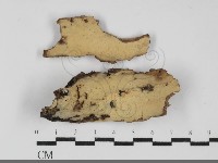 登錄號:F0032275藏品圖，第1張