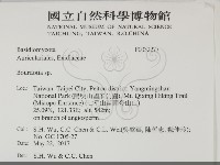 登錄號:F0032277藏品圖，第2張