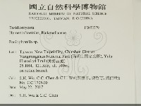 擬筍殼菌屬藏品圖，第2張