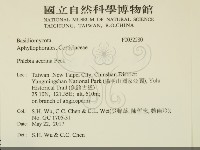 登錄號:F0032280藏品圖，第2張