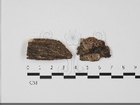 登錄號:F0032280藏品圖，第1張