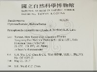 登錄號:F0032281藏品圖，第2張