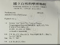 絲齒菌屬藏品圖，第2張